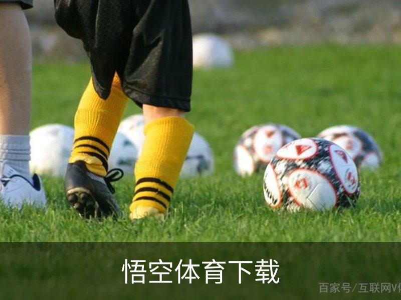 悟空体育下载简介